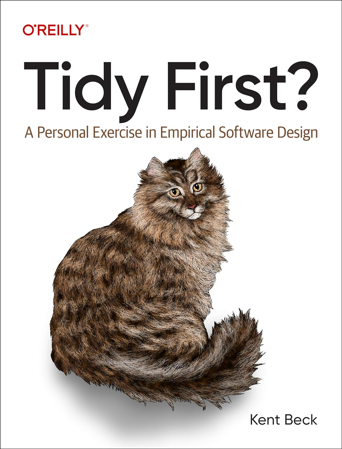 Tidy First?: a Personal Exercise in Empirical Software Design image number 2