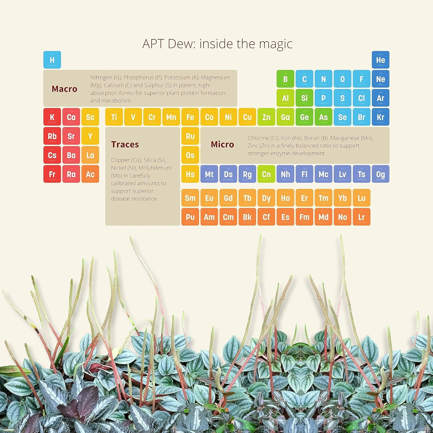 2Hr Aquarist APT Dew Foliar Spray for Paludariums and Planted Terrariums (300Ml) image number 1