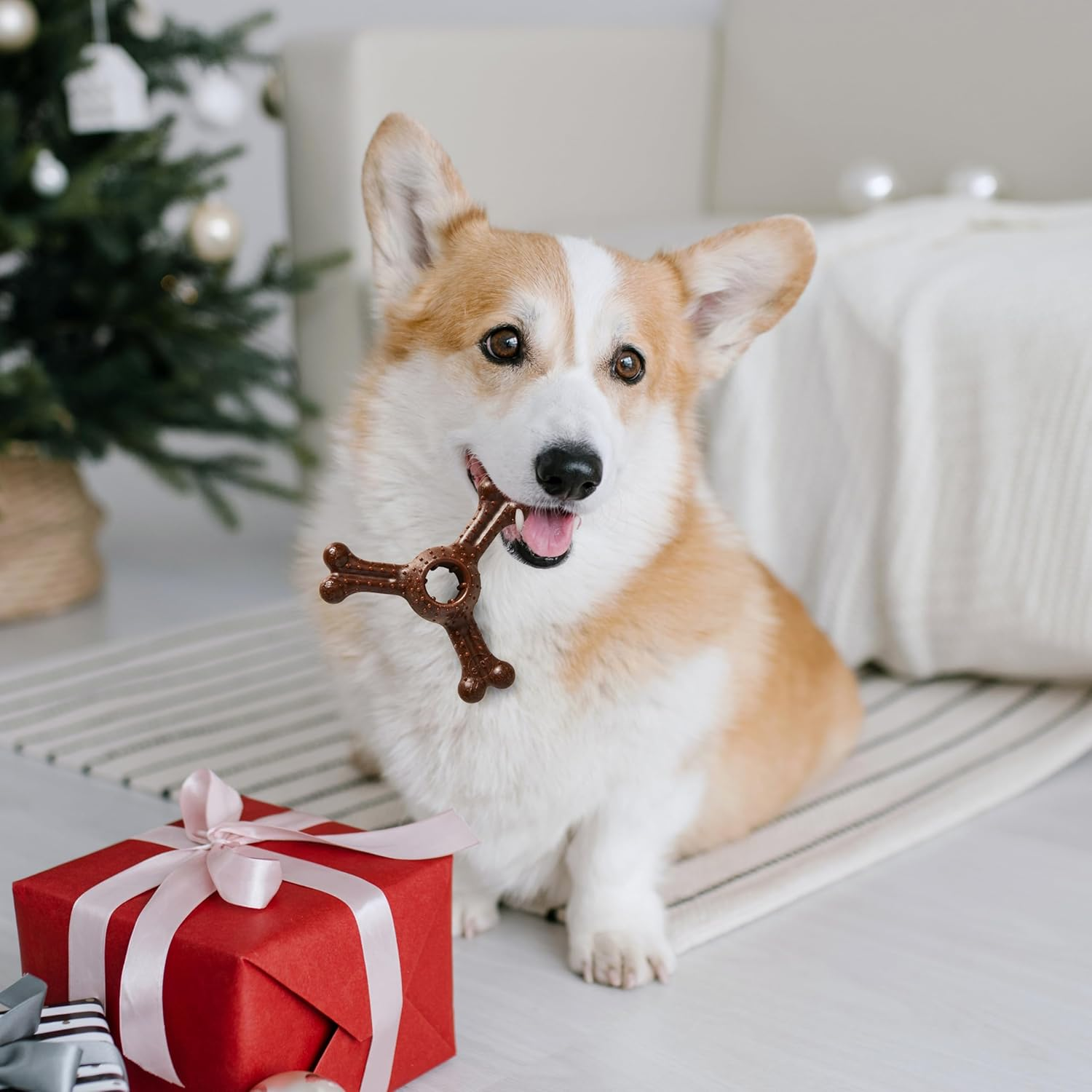 SPOT by Ethical Products - Bambone Braided Stick, Ring, Triple Chew Toy, Hickory and Bison Flavored Dog Toys Holiday Shopping for Bone Gifts for Aggressive Chewers Small (3Pack) Brown image number 2