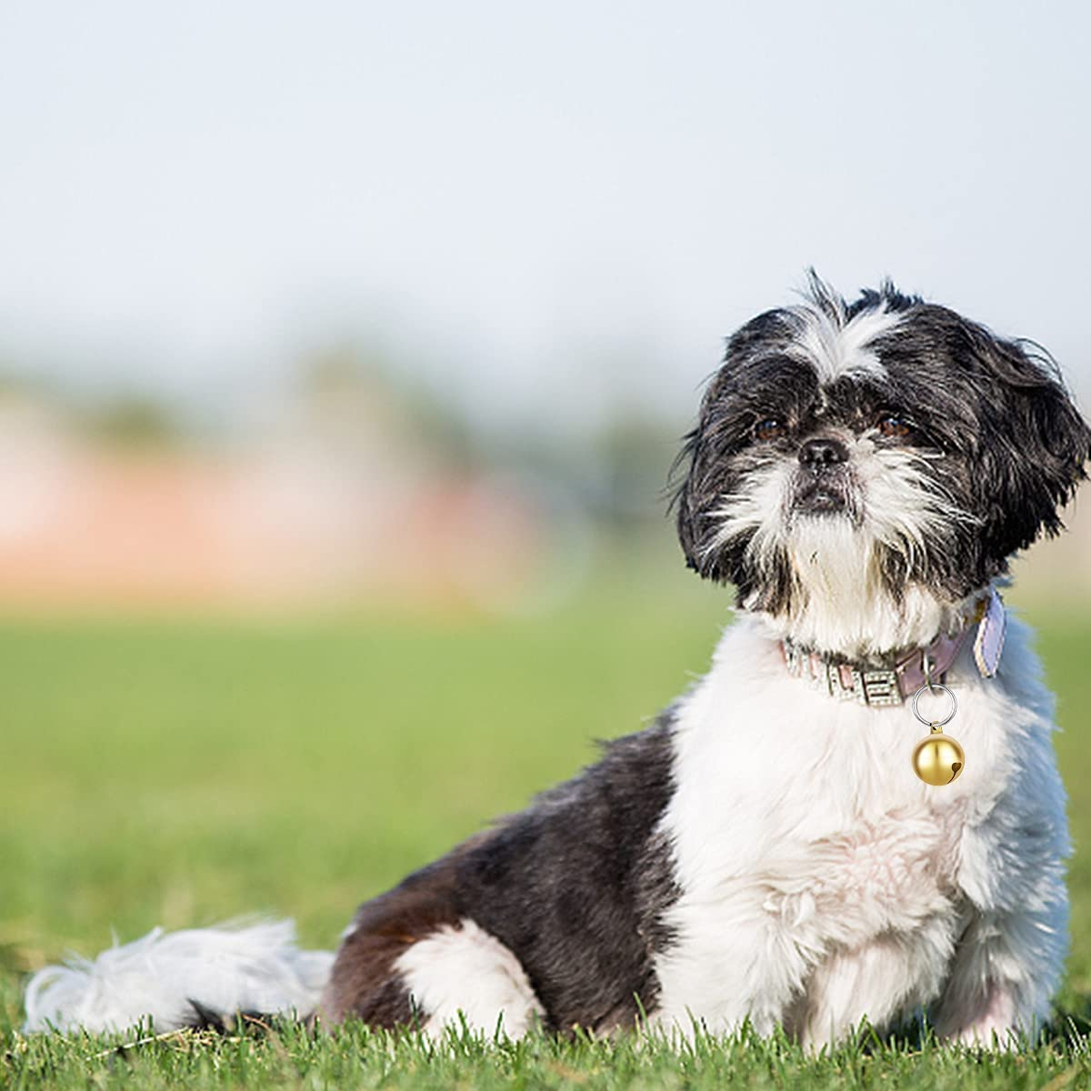 24 Sets Cat and Puppy Dog Collar Bells, Pet Pendant, DIY Crafts (Gold Color) image number 5