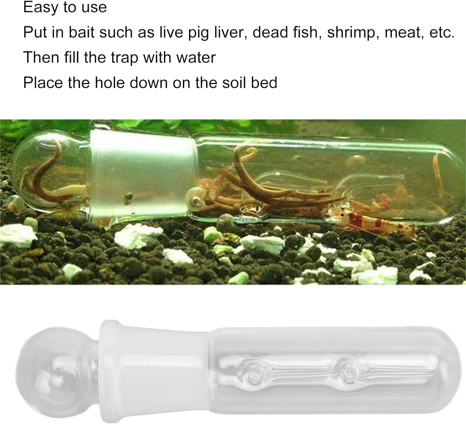 Planaria Trap, Clear Glass High Brightness Planar Leech Trap Tube Red Shrimp Crystal Cherry Shrimp Dwarf Shrimp image number 5