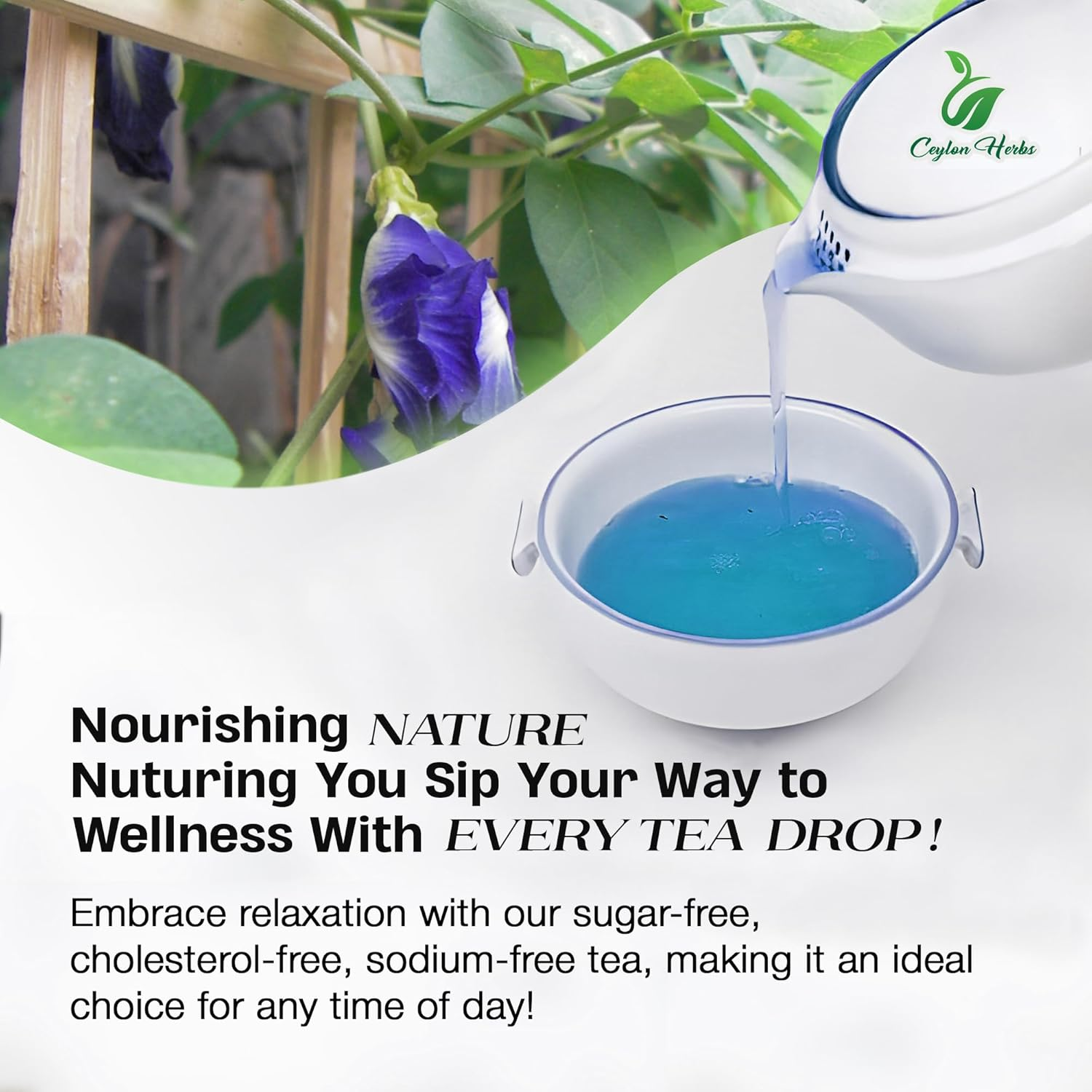 520+ Premium Blue Butterfly Pea Flowers Dried Healthy Well Cleaned Flowers No Additives Hand Picked Pure Dried image number 6