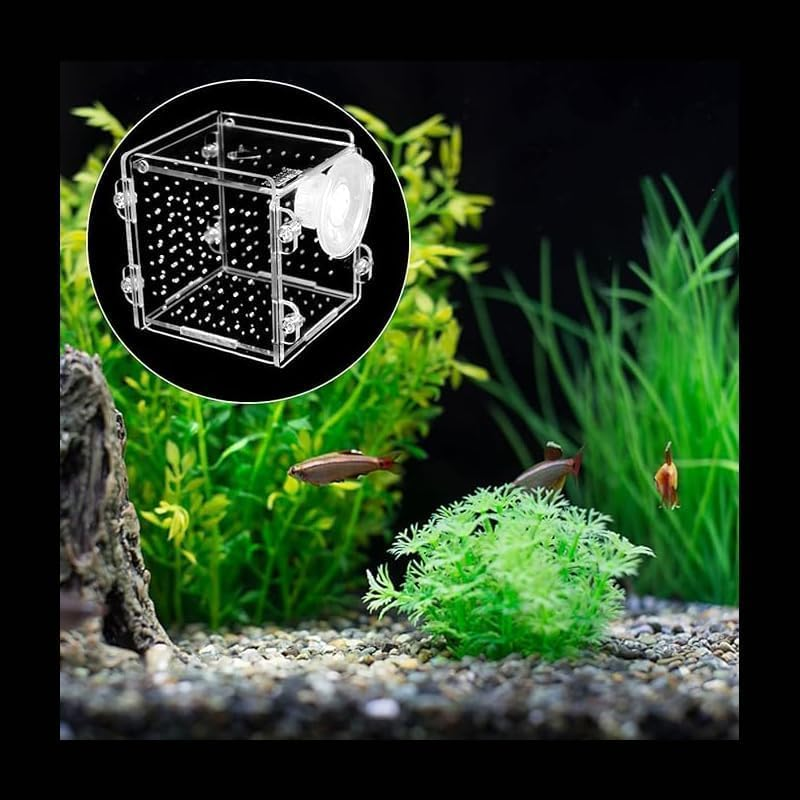 Acrylic Fish Breeding Box, 1Pc Transparent Acrylic Aquarium Isolation Box with Suction Cup,Acrylic Fish Isolation Breeding Box image number 1