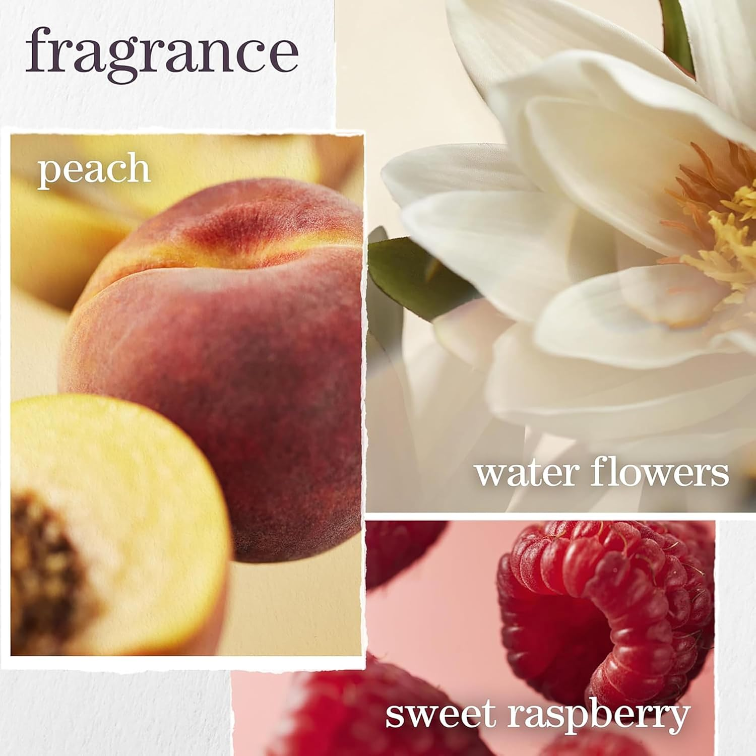 Pureology Strength Cure Conditioner | for Damaged, Color-Treated Hair | Softens & Strengthens Hair | Sulfate Free | Vegan | 266Ml image number 1