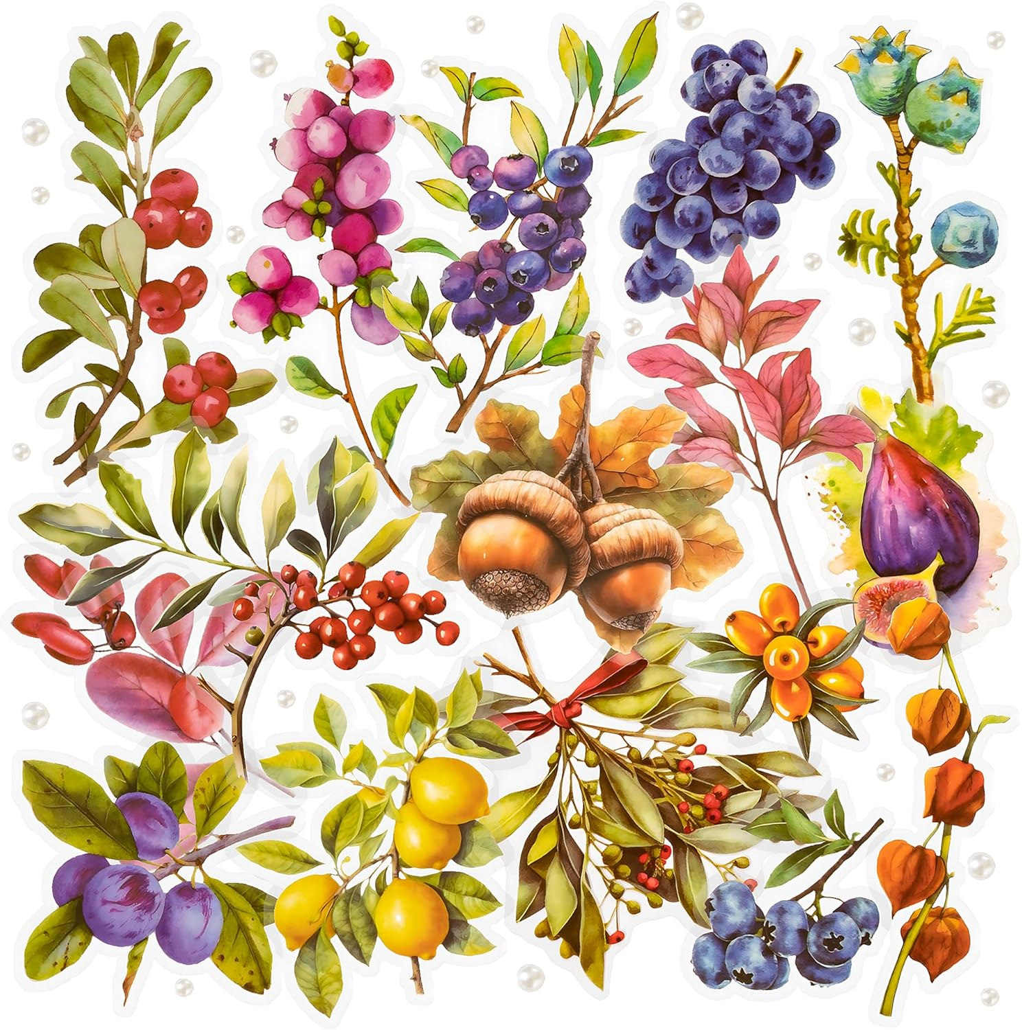 Mayplous Fruit Scrapbook Sticker Decal Set, Plastic PET, DIY Journaling, Lemon, Pineapple, Grape, Orange, 60 Pieces, Sticky Pearl, Circle Doily Paper, Beige Paper String