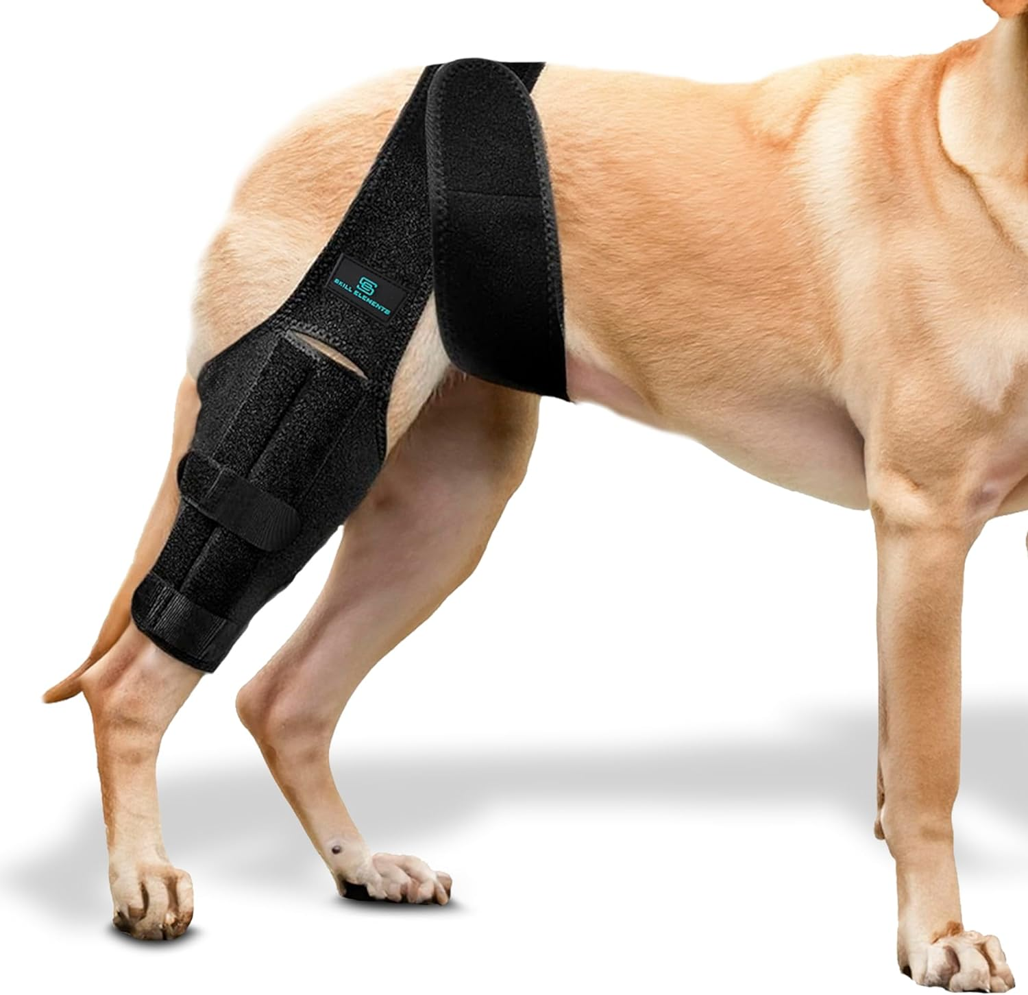 Dog Leg Braces for Back Leg - Dog Knee Brace for Support with Cruciate Ligament Injury, Joint Pain and Muscle Sore,- Dog Knee Brace for Torn ACL Hind Leg Adjustable Rear Leg Braces (Medium) image number 4
