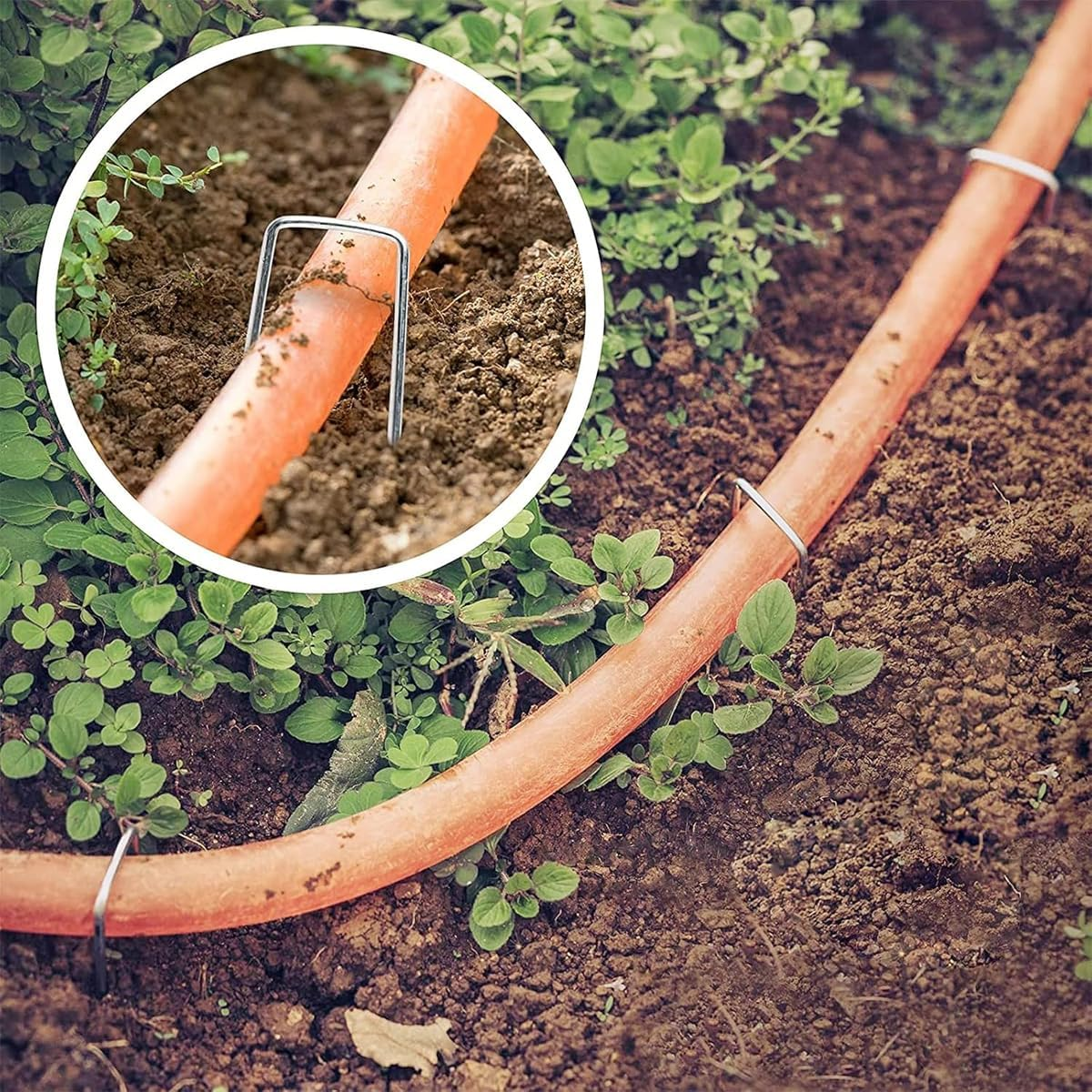 AIMALL 100-Pack U-Shaped Garden Staples &ndash; 3.93In X 1.57In Heavy Duty Steel Ground Pegs with 45&deg; Sharp Tip for Landscaping, Weed Barrier, and Gardening