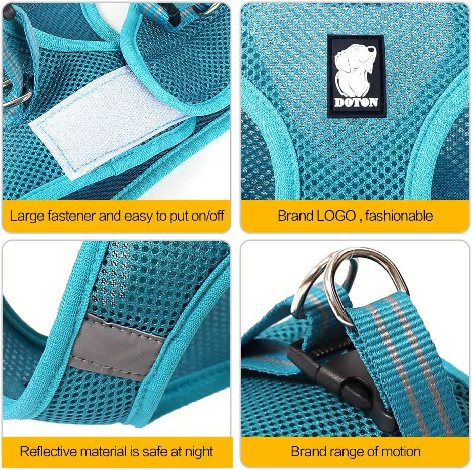 HEYWEAN Cat Harness and Leash - Ultra Light Escape Proof Kitten Collar Cat Walking Jacket with Running Cushioning Soft and Comfortable Suitable for Puppies Rabbits image number 1