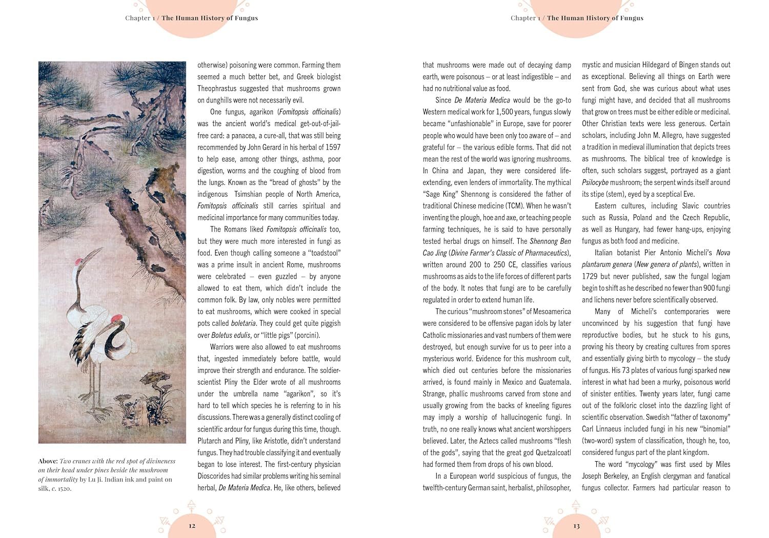 The Magic of Mushrooms: Fungi in Folklore, Superstition and Traditional Medicine