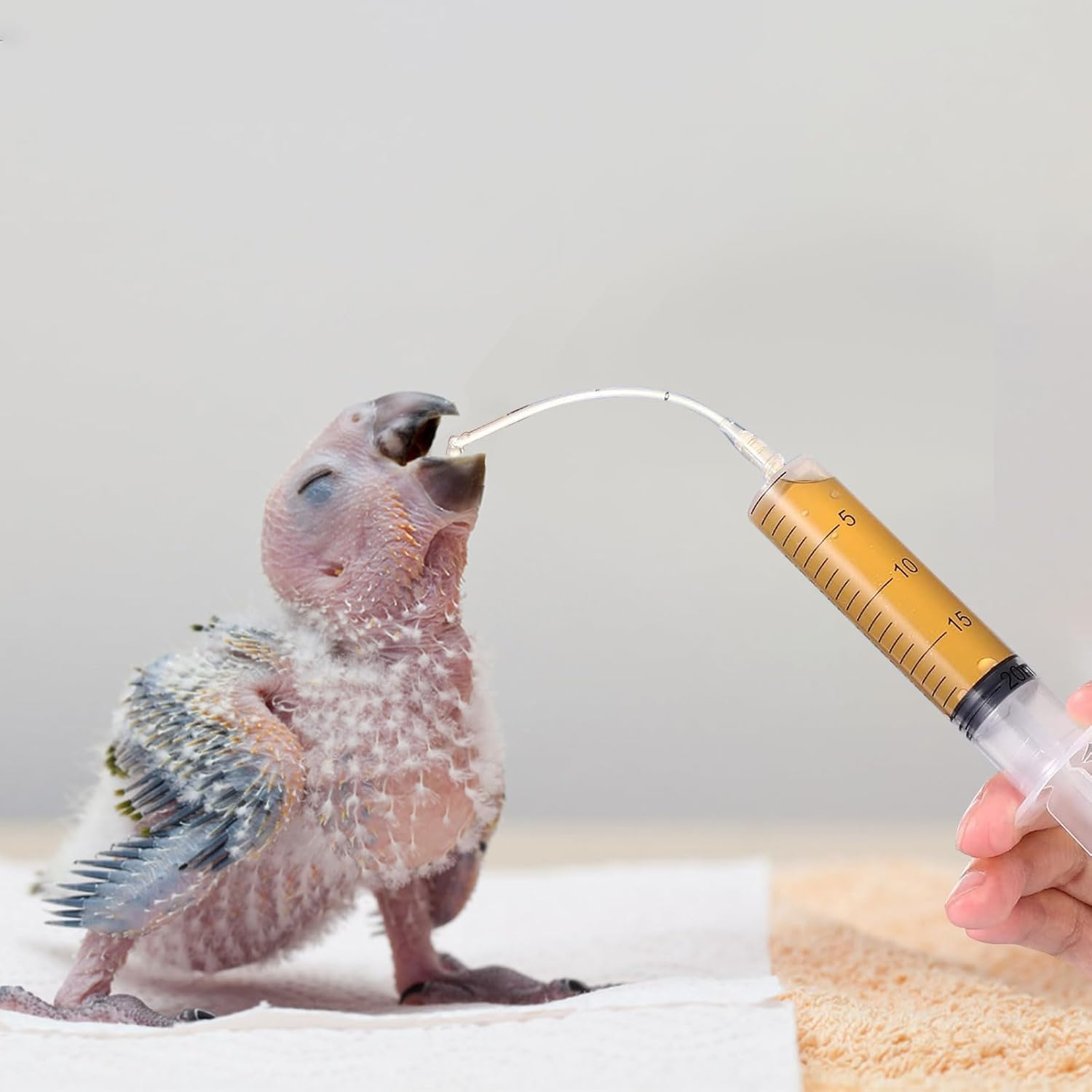 Feeding Syringe for Baby Bird, Syringe, 60Ml Spoon, 8Cm and 12Cm Hose Set for Sick Birds, Reusable Syringe Feeder for Small Animal image number 5