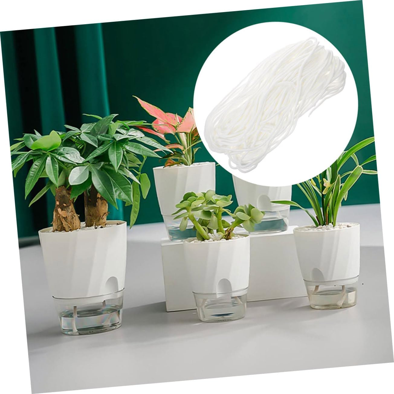 Kisangel Self-Watering Planter Rope Cotton Thread for Hydroponic Potted Plants Water Absorption Wick Cord for Garden Supply image number 3