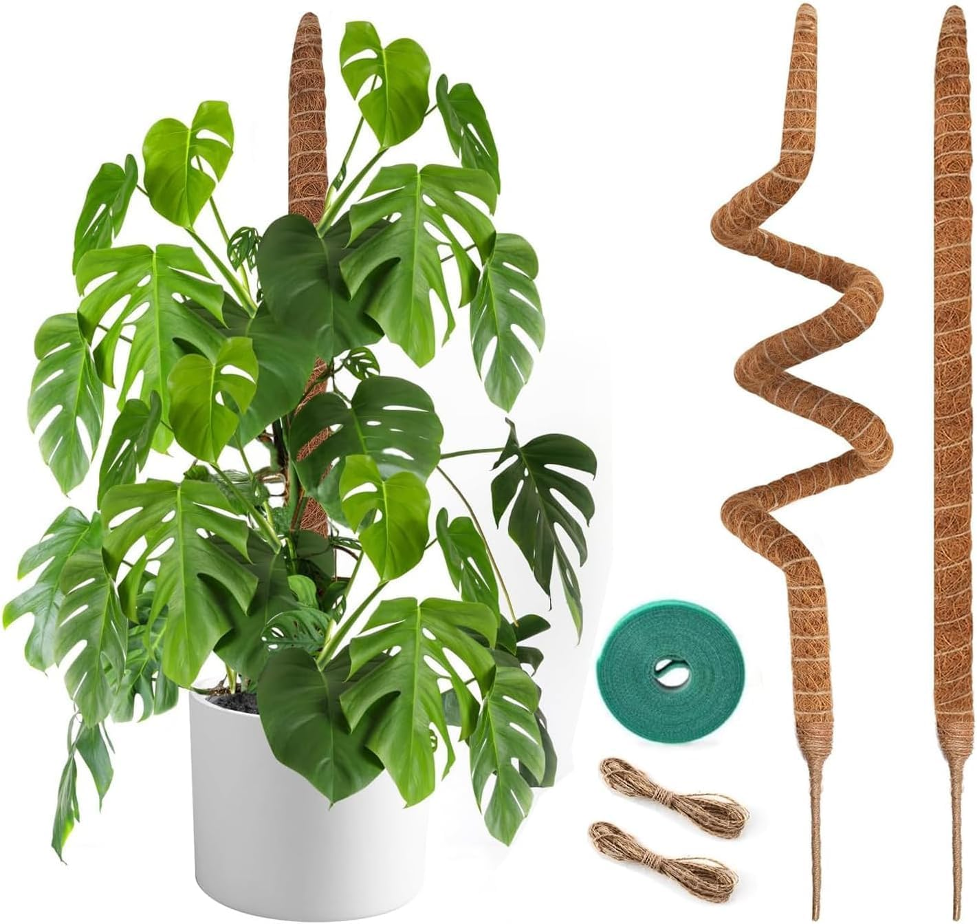 2 Pack Moss Pole, 48 Inch/120Cm Bendable Moss Pole for Plants Monstera, Moss Poles for Climbing Plants, Handmade Coco Coir Pole Plant Sticks Support Plant Stakes for Indoor Plants to Grow Upwards image number 6