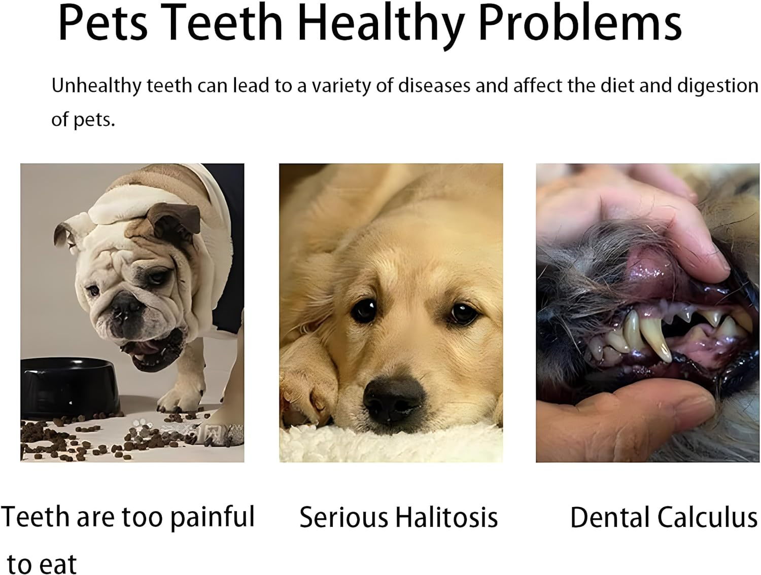 LINGXIYA Pet Dog Toothbrush, Extra Soft Dog & Cat Toothbrushes Dental Cleaning Brushes for Puppy Small Dog and Cat Dogs Teeth Dental Health 2 Pack Kit (White/Green)