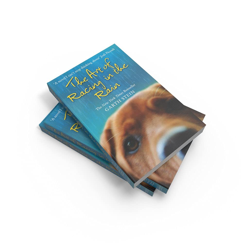 The Art of Racing in the Rain image number 6