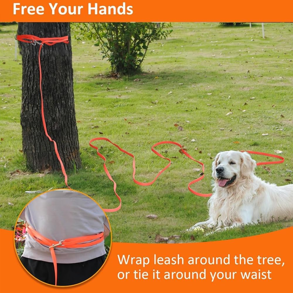 Waterproof Dog Training Leash, 15Ft Dog Training Long Leash, Heavy Duty Outdoor Recall Lead for Small, Medium and Large Dog,Orange.