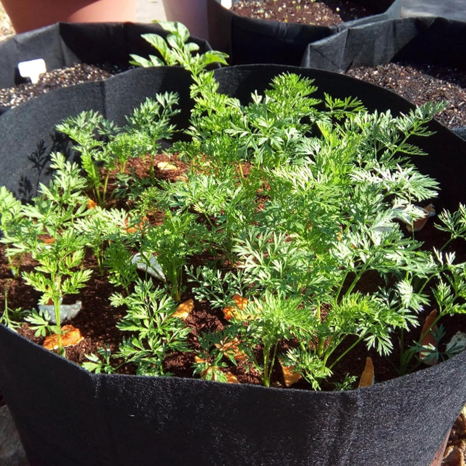 10-Pack 7 Gallon Plant Grow Bags, Heavy Duty Nonwoven Aeration Fabric Pots, Reusable Garden Planter Pots for Vegetables, Flowers, Plants (7 Gallon) image number 2