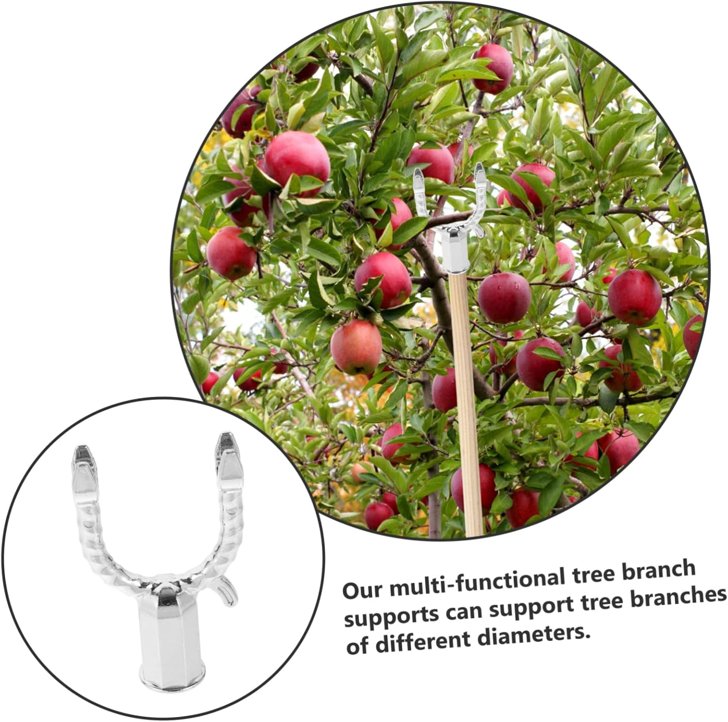 BESPORTBLE 5Pcs Fruit Tree Support Frame Aluminium Alloy Garden Plant Branch Support Tool for Fruited Tree Branches Straightening in Garden image number 5