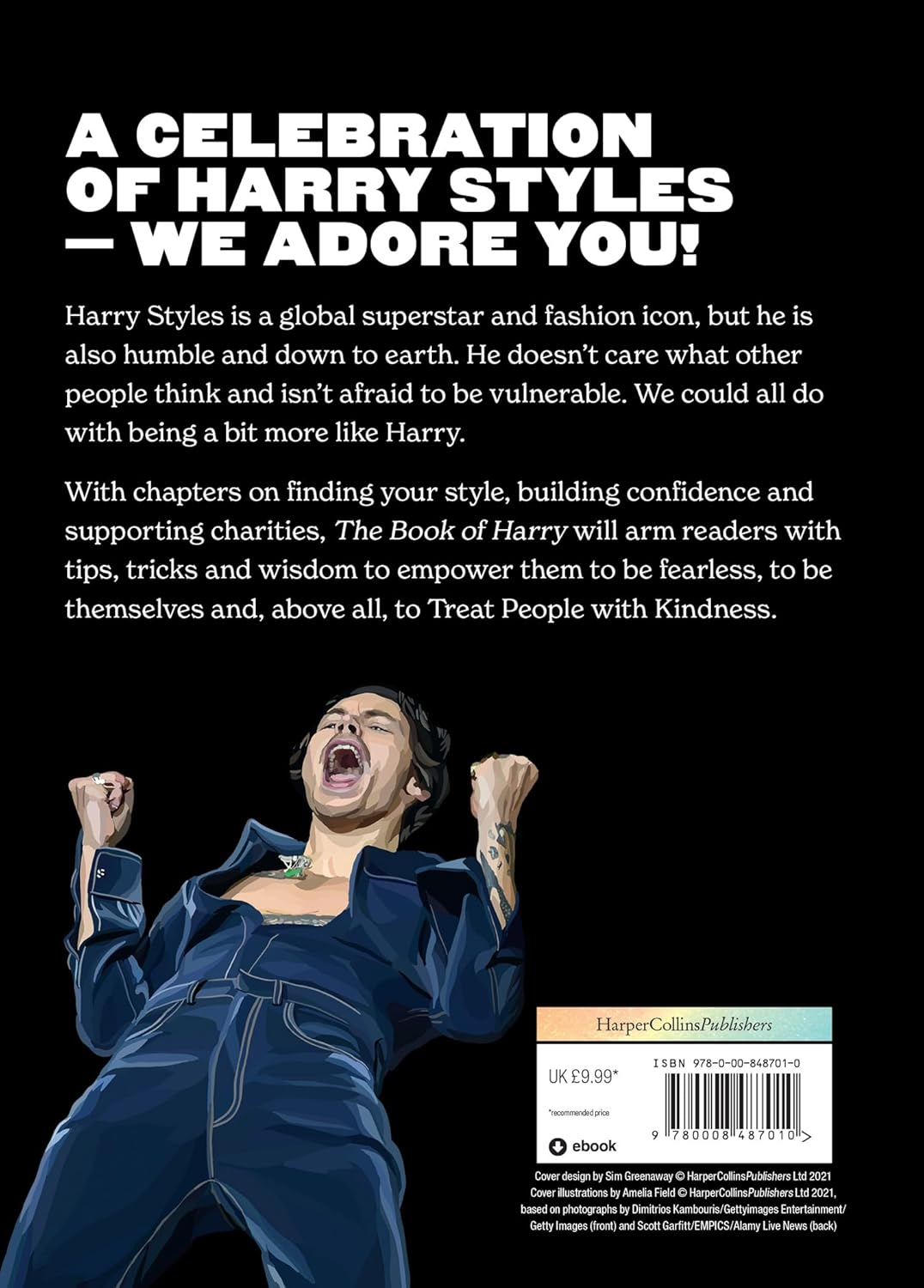 The Book of Harry: a Celebration of Harry Styles image number 2