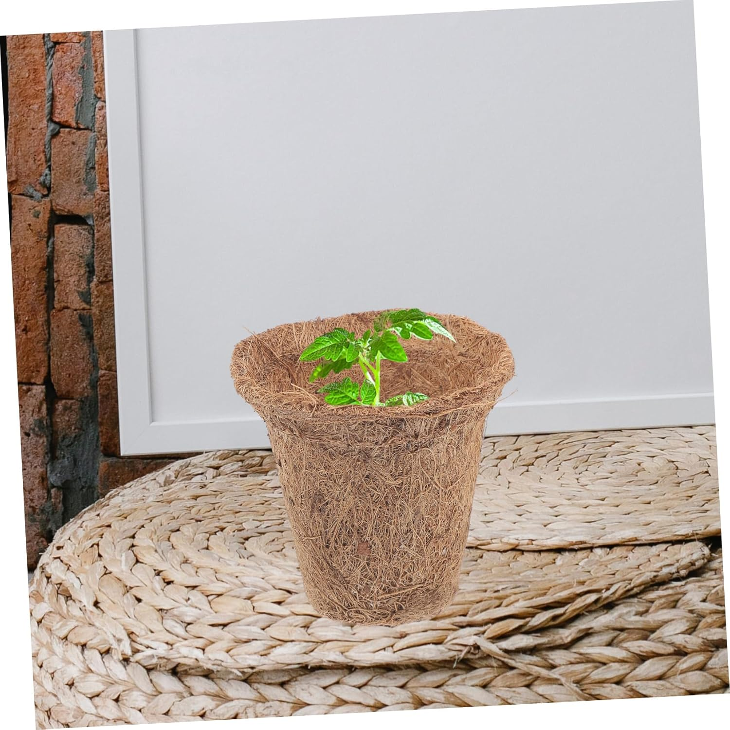 Toddmomy 1Set Coir Plant Nursery Pots Coconut Fiber Cups Nutrient Packs Plant Labels for Easy Transplanting Gardening Supplies image number 5
