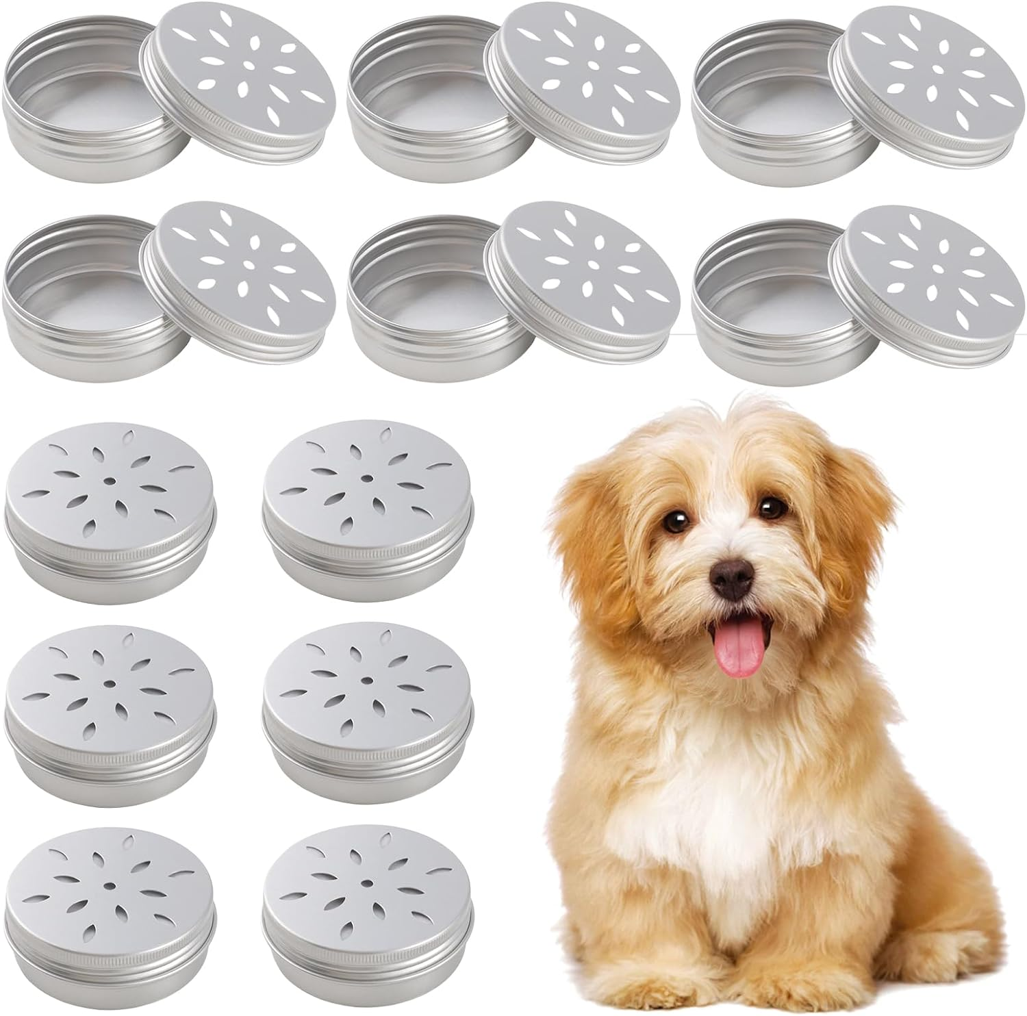 12 Pack Scent Training for Dogs Scent Dog Scent Work Tins Small Dog Food Container Nose Work Supplies for Scent Training, Aluminum Dog Scent Boxes image number 6