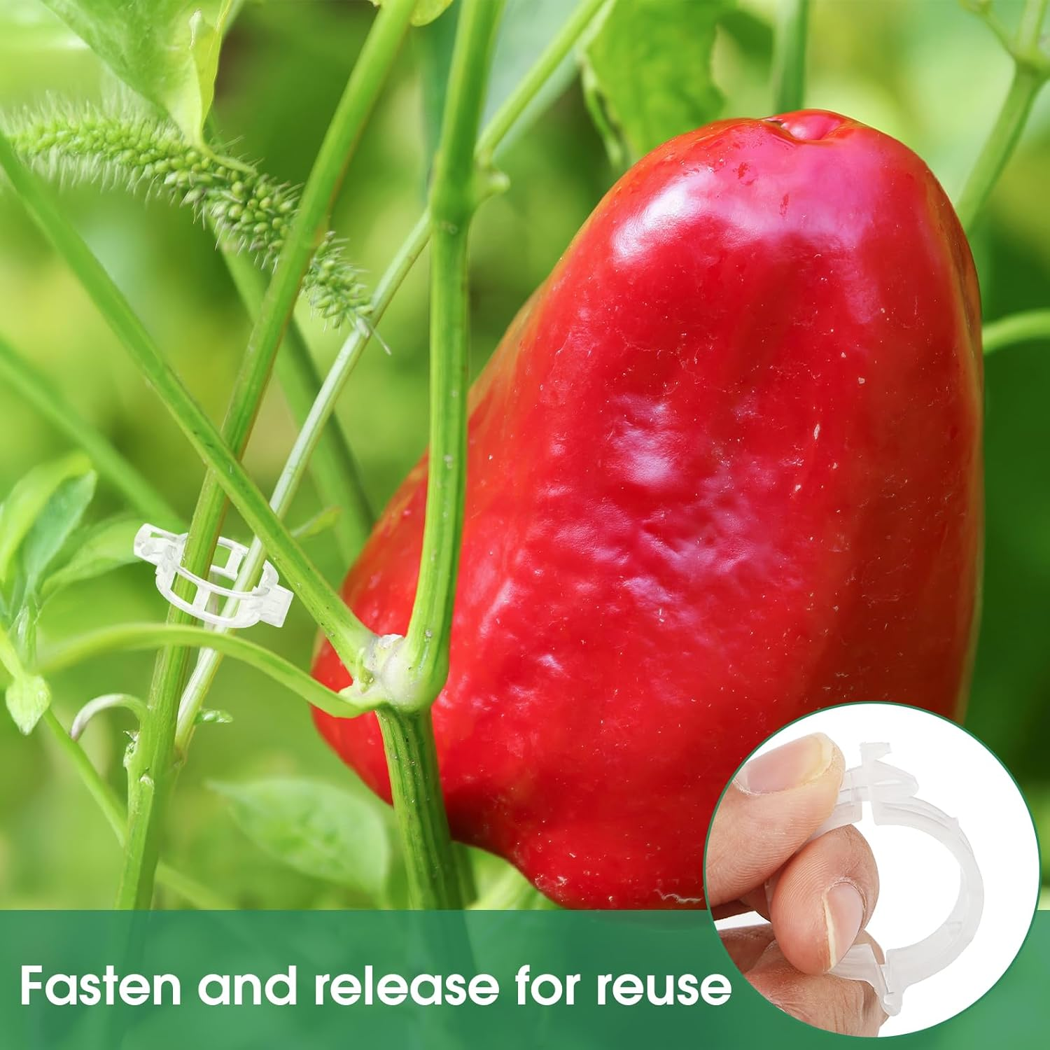 150 Pcs Plastic Trellis Plant Support Clips Plant Fixing Clips for Climbing Plants, Garden Clips for Support, Grape and Tomato Vine, Vegetables Plants(White) image number 4