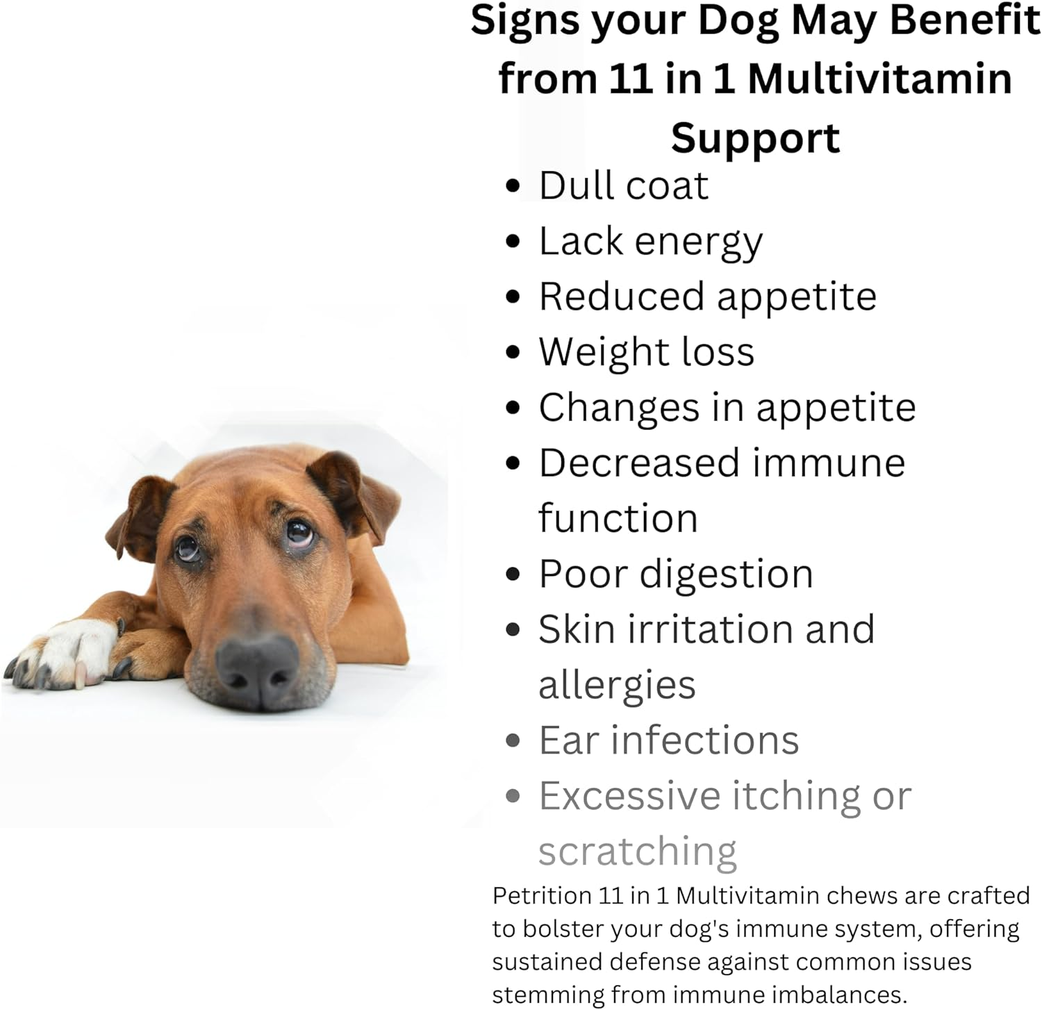 Petrition 11 in 1 Dog Multivitamin with Glucosamine Chondroitin, Probiotics, Omega Fish Oil, Dog Vitamins and Supplements for Skin & Coat Health, Joint Support and Allergy Relief - 120 Soft Chews image number 3