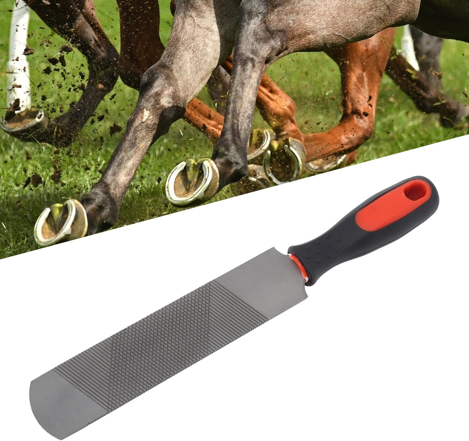 8 Inch Horseshoe File Carbon Steel Farrier File Tool with Comfortable Flexible Handle, Hoof Rasp, Farrier Hoof Rasp Tool for Repair Horse Hooves Goat Hooves image number 4