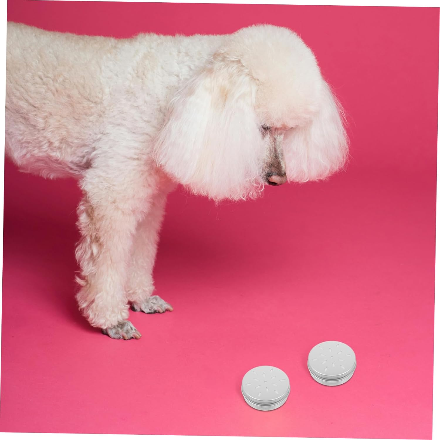 Baluue 10Pcs Odor Training Tool for Dogs Dog Scent Training Threading Tool Dog Training Tools Dog Nose Scent Case Metal Tins with Lids Police Dog Work Aluminum Box Frame image number 1