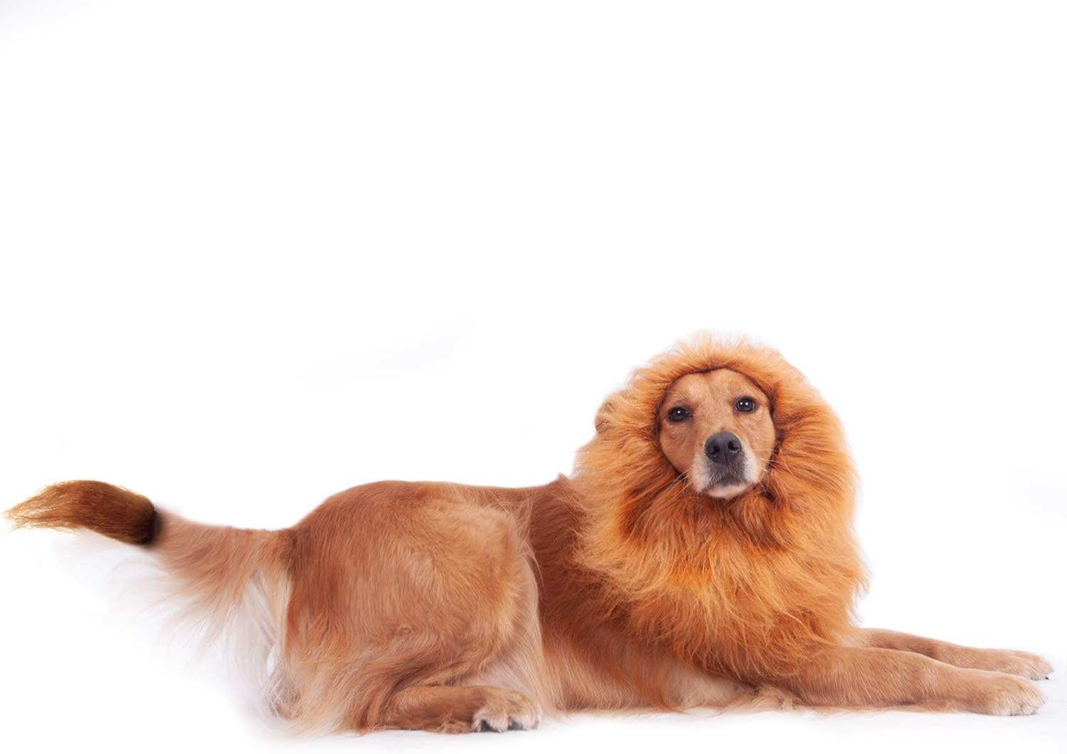 GALOPAR Lion Mane for Dogs Realistic Lion Wig Dog Lion Costume, Halloween Christmas Funny Dog Costumes Photo Shoots Entertainment, Suitable for Medium and Large Sized Dogs - Lion-Red Brown image number 6