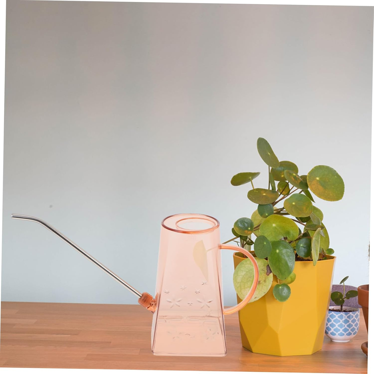 Garden Watering Can Long Spout Indoor Outdoor Succulent and Houseplant Care