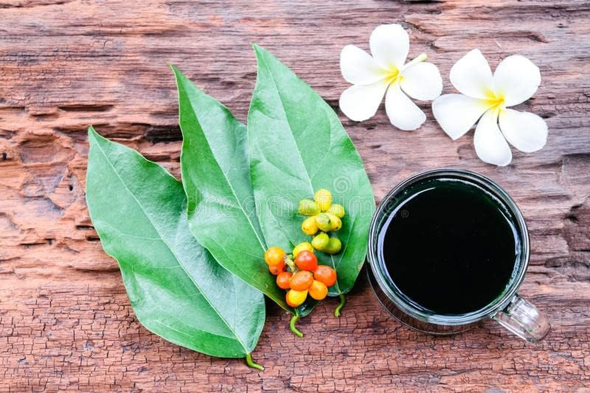 Porkwan Yanang Leave Extract 400 G