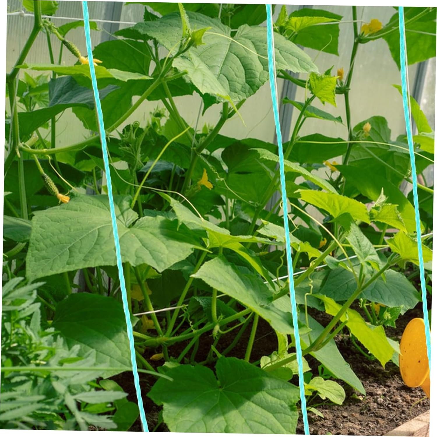 BESPORTBLE Garden Twine String for Climbing Plants Twine Rope Multi-Use Gardening Supplies Outdoor Plant Trellis image number 5