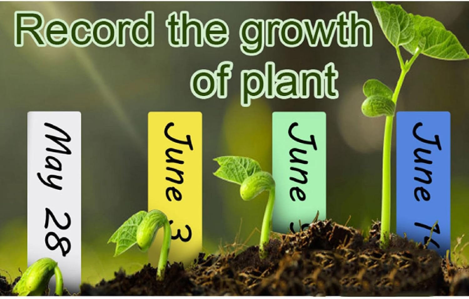 100 Pcs Plastic Plant Labels Colored, 10 X 1.8Cm / 5 X 1Cm Waterproof Garden Name Tags Markers for Seeds, Seedling, Herb, Vegetables