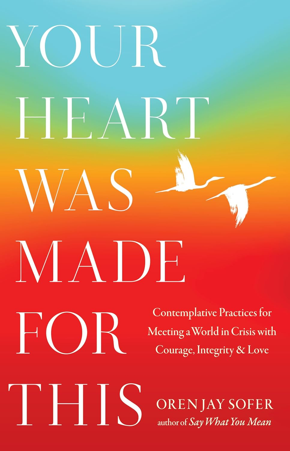 Your Heart Was Made for This: Contemplative Practices for Meeting a World in Crisis with Courage, Integrity, and Love image number 1