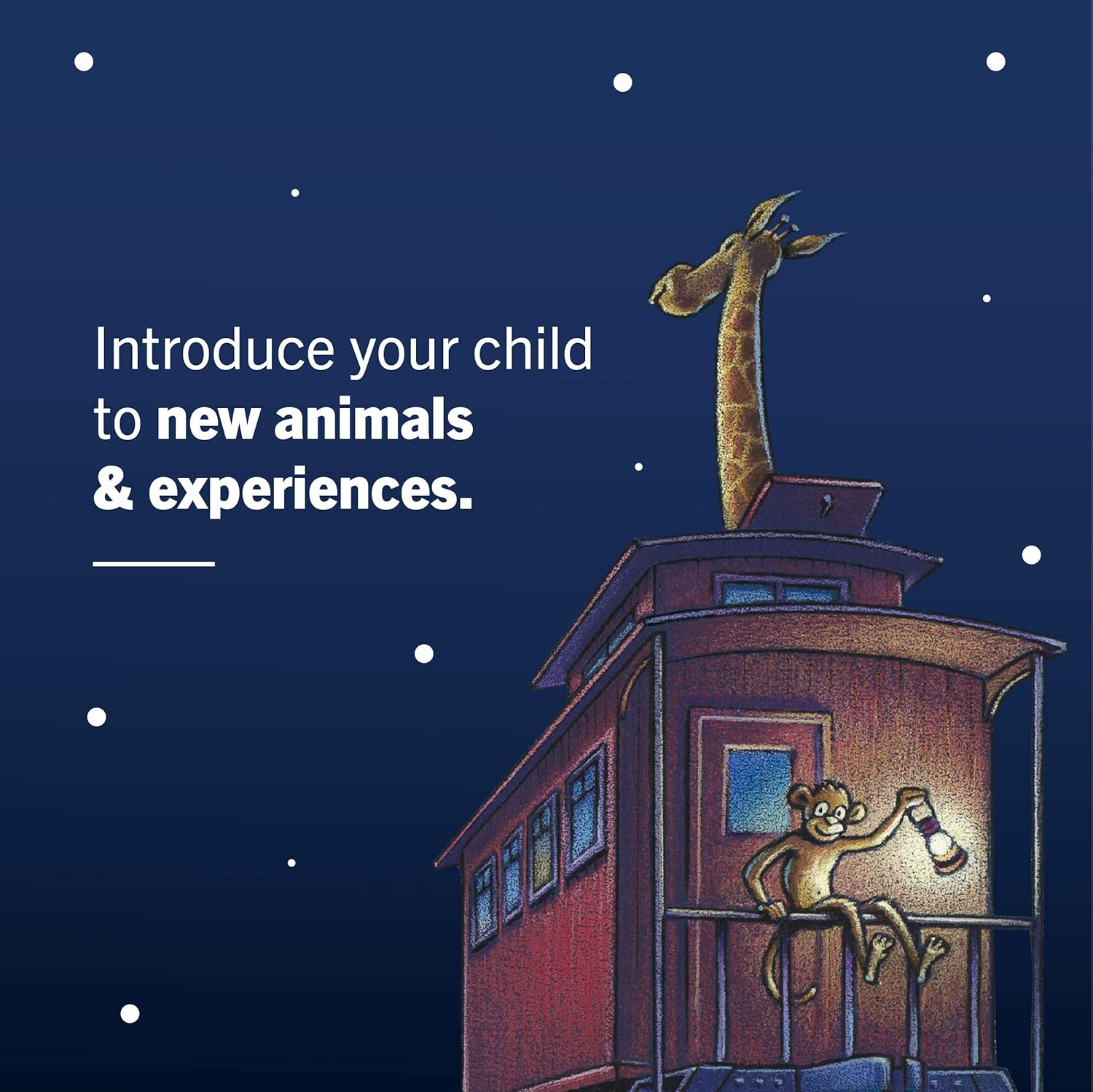 Steam Train, Dream Train