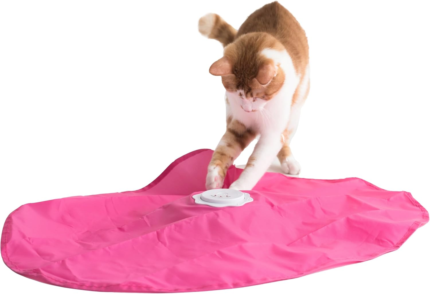 Interactive Cat Play-Catch the Tail-Electric, Rotating Feather , Motion, Automatic, Best Undercover Mouse under Blanket Cat Toy image number 3