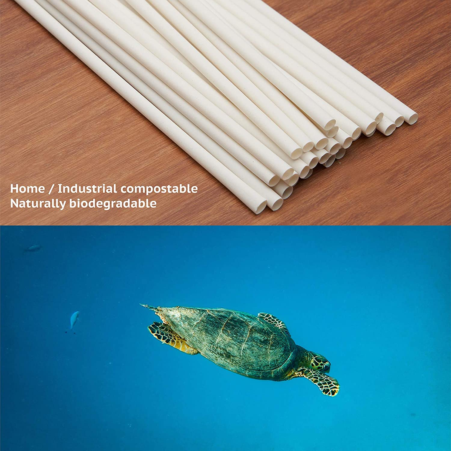 Bamboo Fiber Straws | 200 PCS 7.8'' | 100% Compostable and Biodegradable, Plastic-Free, Eco-Friendly, Sturdy Disposable Straws for Cold & Hot Drinks image number 5