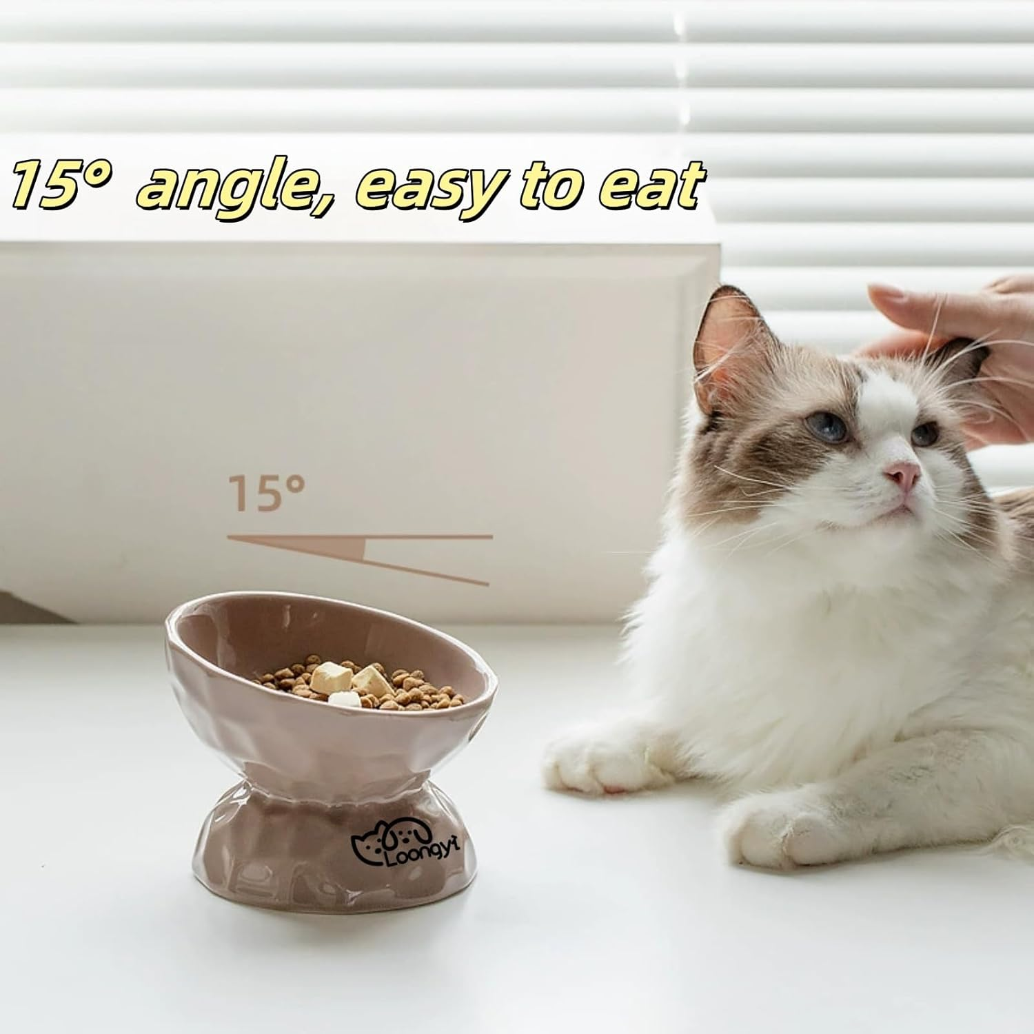 Ceramic Elevated Cat & Dog Bowl - 15&deg; Slanted Design for Cervical Health, Anti-Tip Diamond Texture Pet Food Dish, Stylish and Easy-To-Clean Feeding Bowl image number 1