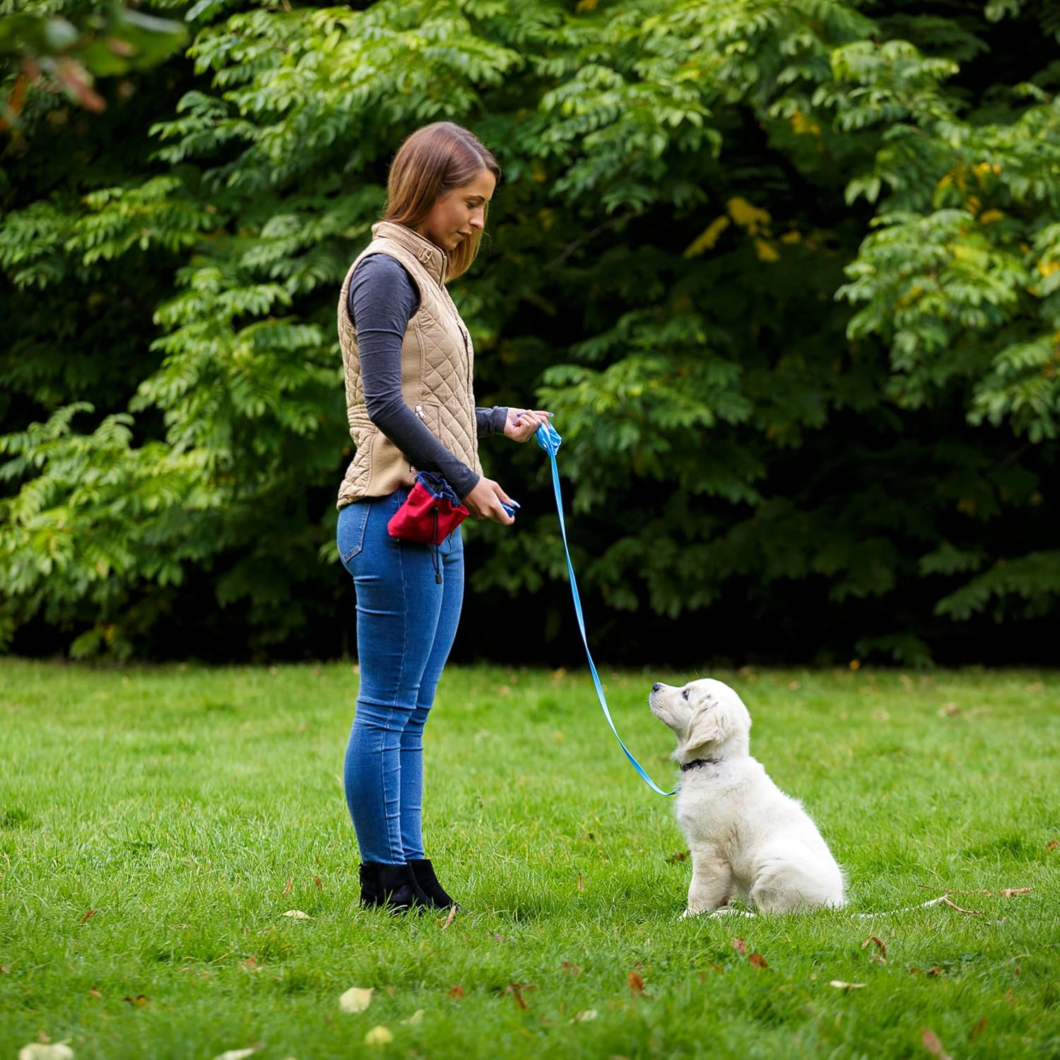 The Company of Animals 25760A Clix Multi-Clicker Training Tool for Dogs, Blue, Small image number 2