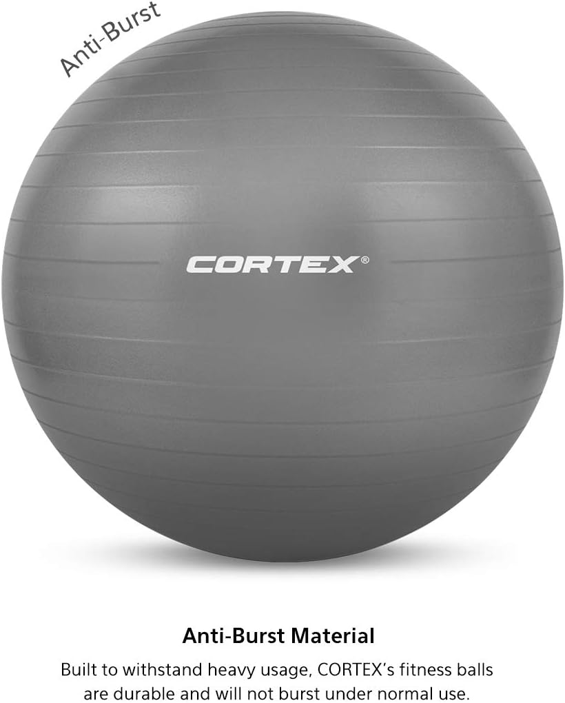 Lifespan Fitness Fitness Ball, 55 Cm Size, Dark Grey image number 1