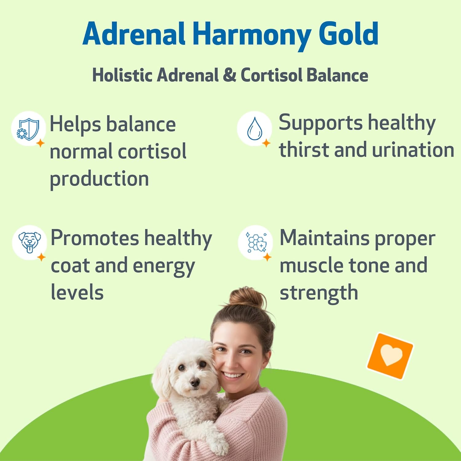 Pet Wellbeing Adrenal Harmony Gold for Dogs - Supports Healthy Adrenal Function, Normal Cortisol Levels, Healthy Thirst & Weight &ndash; Vet-Formulated Holistic Supplement &ndash; 2 Oz (59 Ml) image number 2