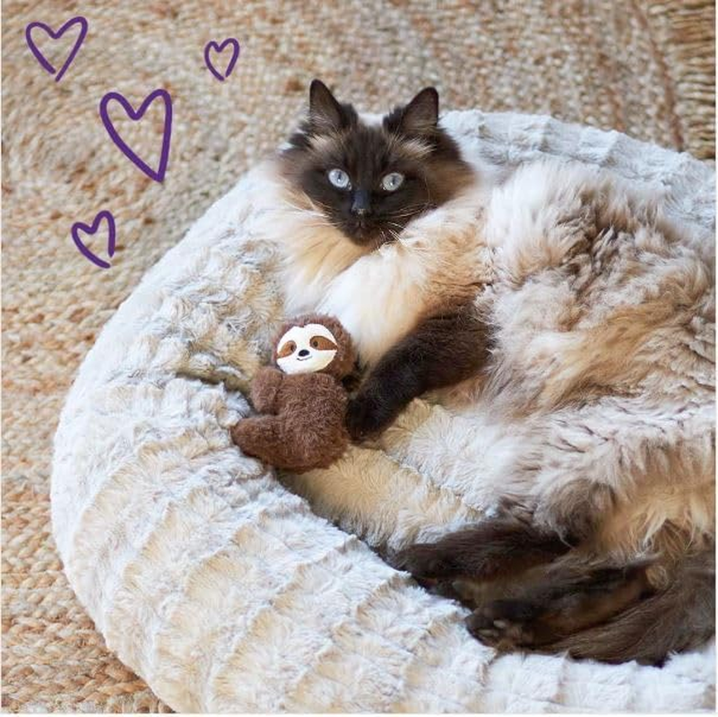 Kazoo Jungle Sloth Cat Toy image number 2