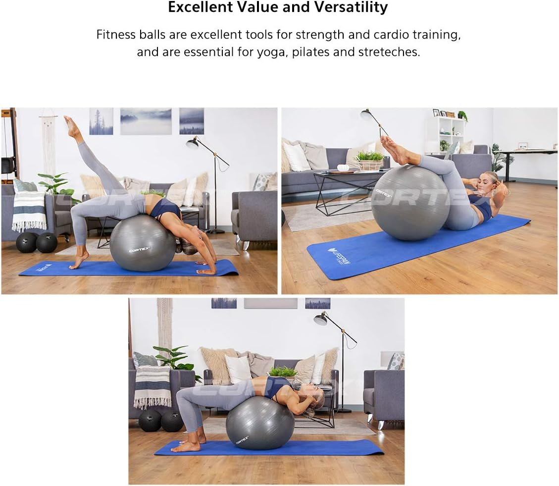 Lifespan Fitness Fitness Ball, 55 Cm Size, Dark Grey image number 3