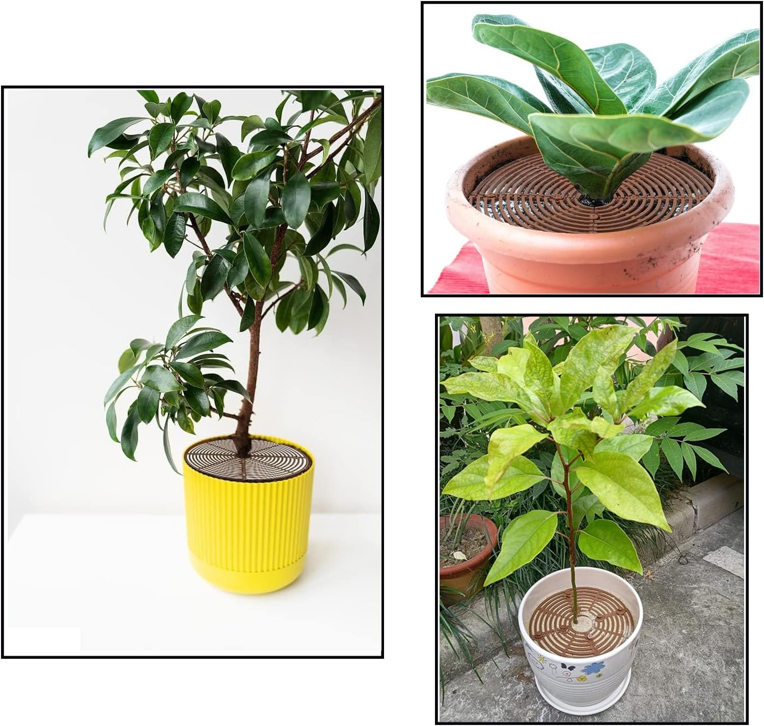 JIAYUYUARPY 2Pack Plant Pot Grid, Flower Pot Protectors, Cuttable Floor Cover Protectors with Deep Stakes, Dogs, Cats Digging Stopper, Plant Grid Pot Cover(Brown) image number 1