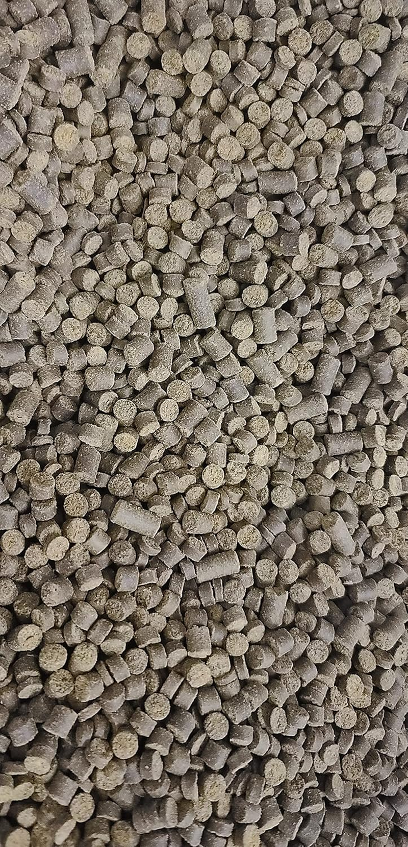 Daily Diet in Soft Granules That Sink Quickly for Axolotl, Newts, Salamanders and Other Animals image number 1