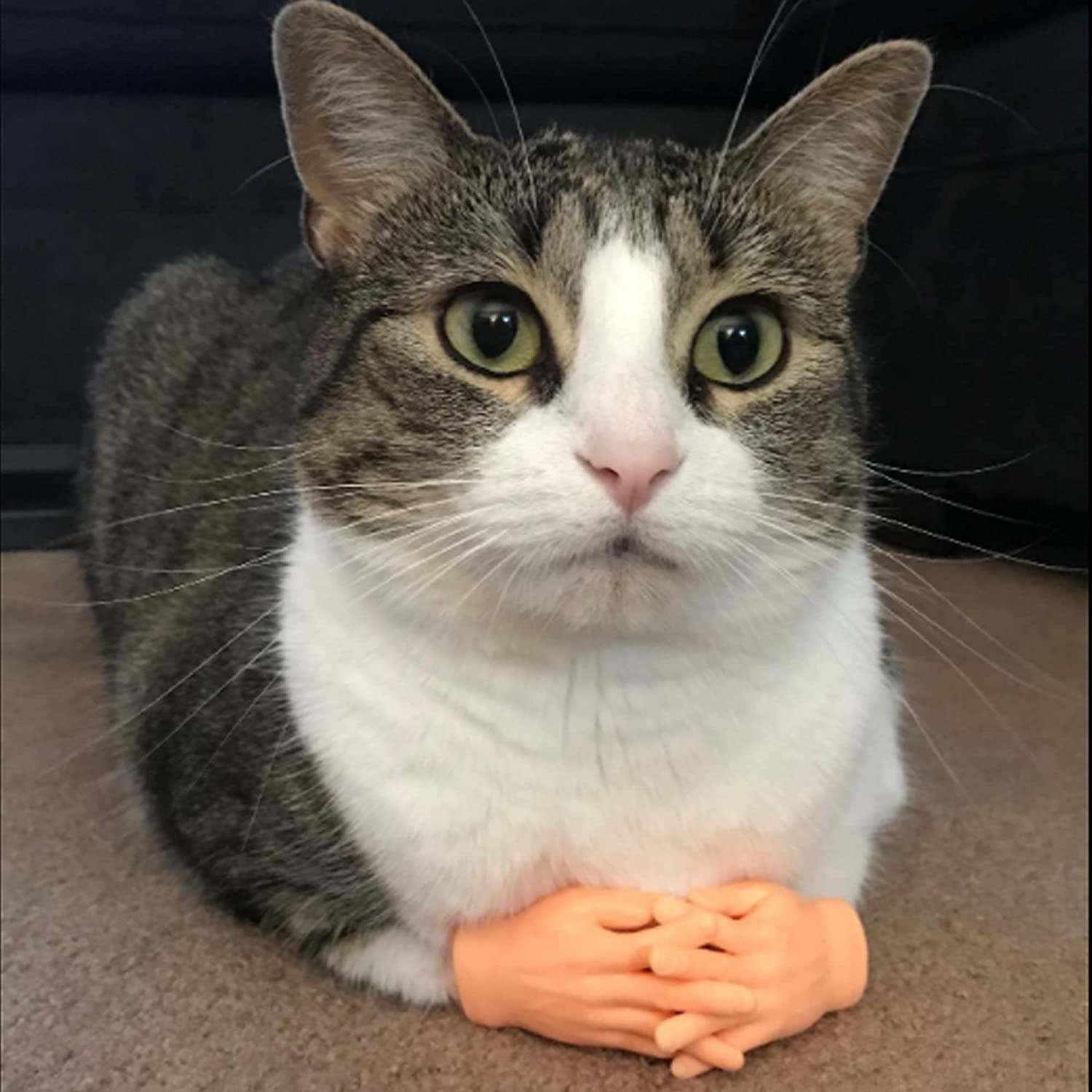 14 Pack Tiny Finger Hands,Little Rubber Finger Hand,Flat Hand Style Mini Realistic Hand for Puppet Show,Party Favors,Games,Gag Performance,Kids image number 4