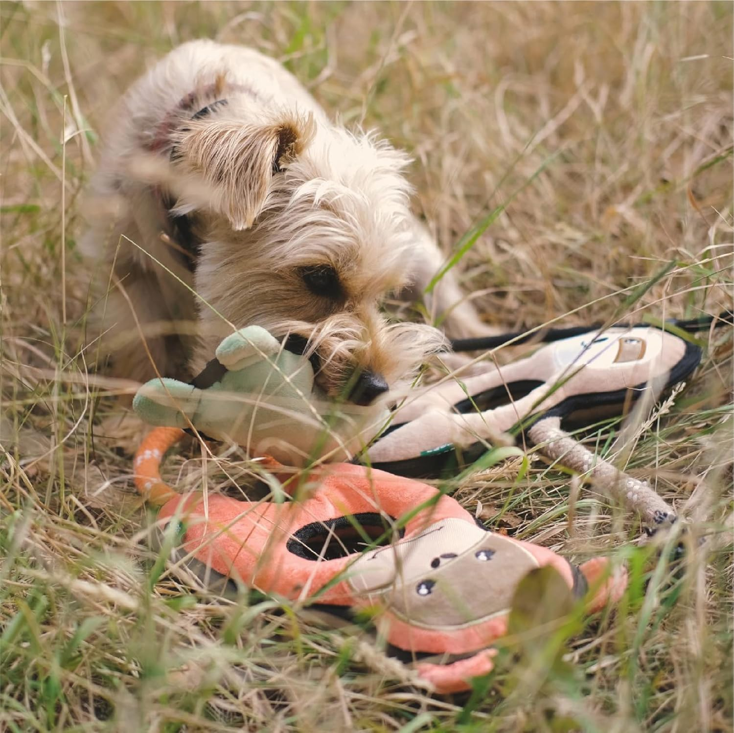 Beco Recycled Rough and Tough Frog Dog Toy, Small image number 4