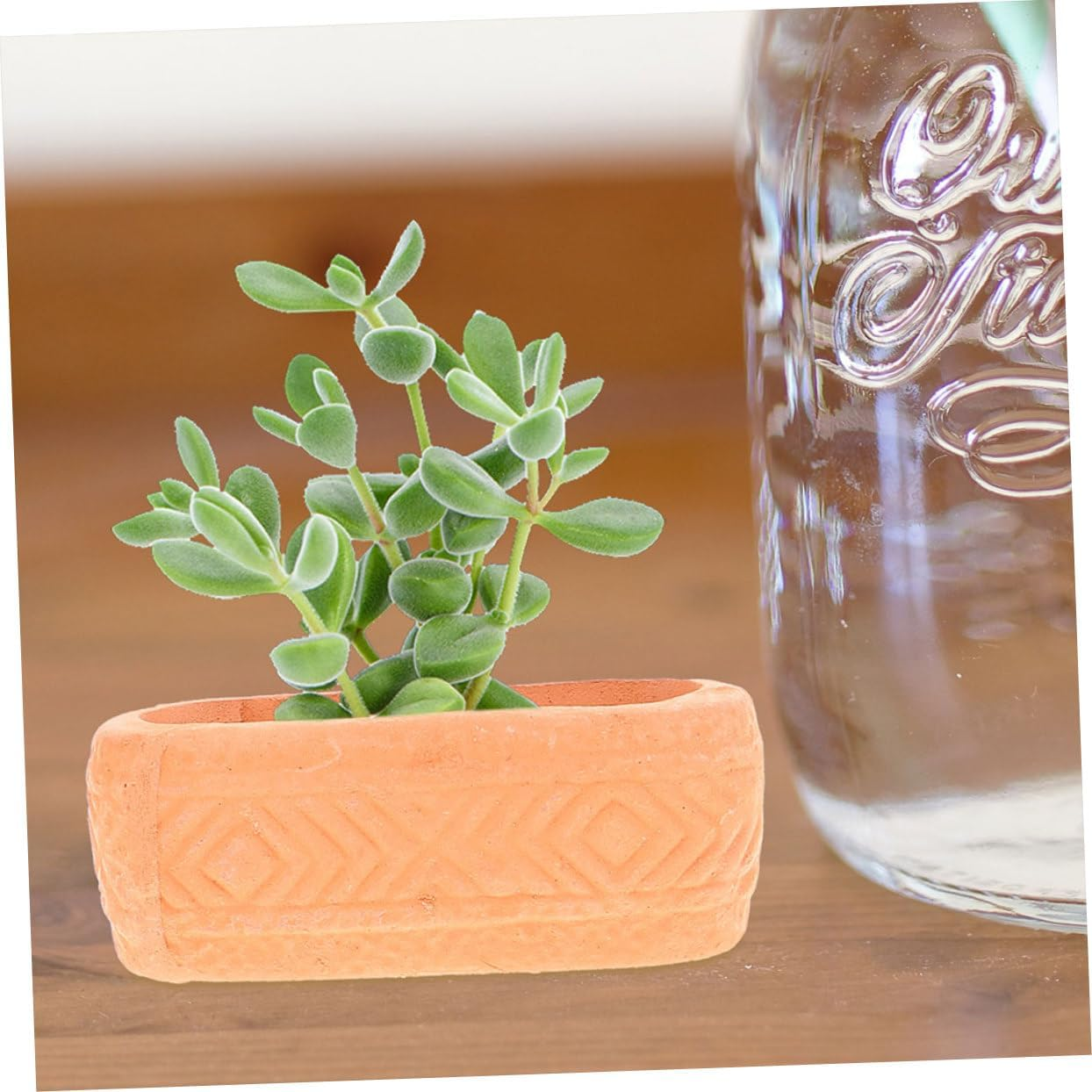 Mini Red Clay Ceramic Planter Pot with Drainage for Indoor Succulent Plants Nursery Grow Pot for Home Garden for Patio and Balcony Planting
