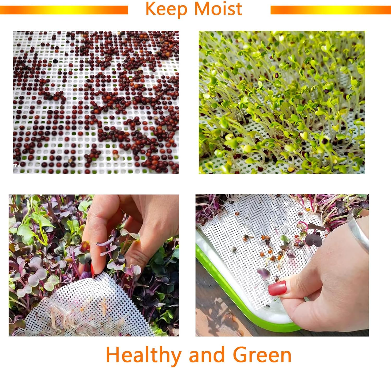 16Pcs Germinating Growing Sheets,Hydroponic Growing Silicone Mats. Fit for Plant Germination Tray and Mesh Sprouting Trays,Trays NOT Included (8.26 * 78") image number 5