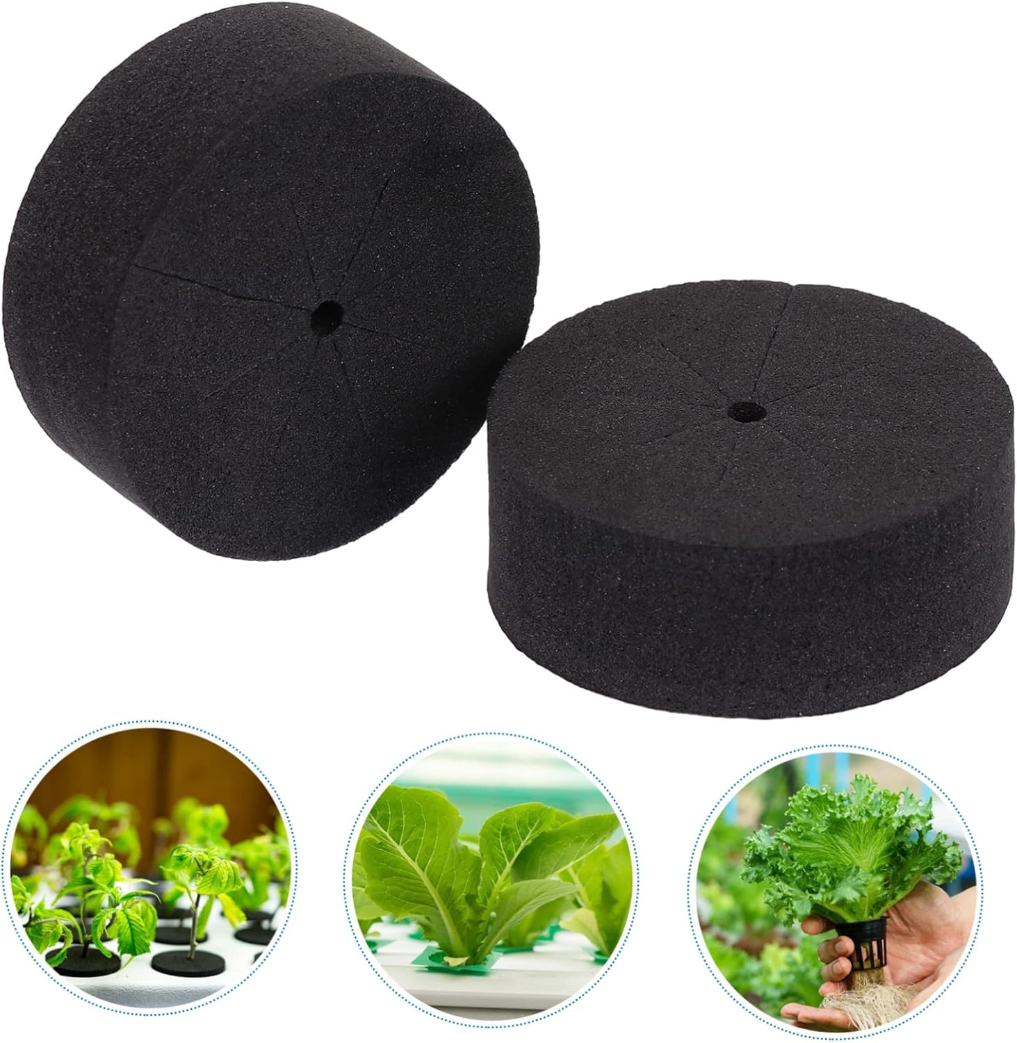 BESPORTBLE 30 Pcs Soilless Cultivation Block Insert Foam Gardening Net Pots EVA Growing Sponge for Hydroponics Flowers Vegetables Family Balcony Garden Use image number 2